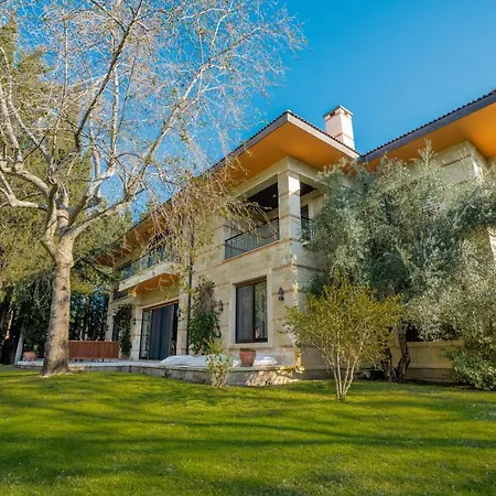 Villa Side Villa *
